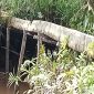 Jembatan Saka Lepu atau yang dikenal warga sebagai Jembatan Hilir di RT 01 Desa Sei Kayu, Kecamatan Kapuas Barat, Kabupaten Kapuas, Kalimantan Tengah,