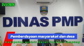 Dinas PMP Pesisir Barat Angkat Bicara Soal Belum Dibayarkannya Dana Publikasi Tahap II Tahun 2025