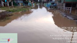 Warga Kampung Sri Menanti, Kecamatan Negara Batin, Kabupaten Way Kanan, kembali dilanda banjir
