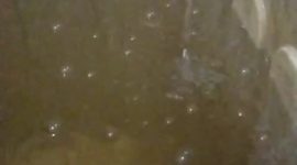 Krisis Air Belum Teratasi, Warga Perumahan Permai Rey 2 Keluhkan Pelayanan PDAM