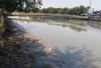 Foto Kali Cengkareng Drain Kapuk di Penuhi Lumpur 