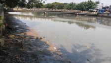 Foto Kali Cengkareng Drain Kapuk di Penuhi Lumpur 
