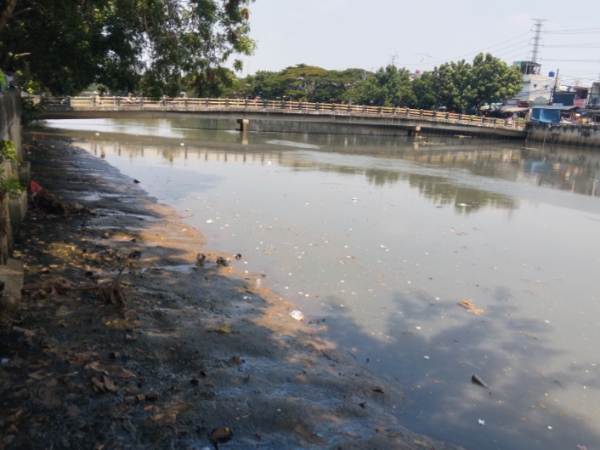 Foto Kali Cengkareng Drain Kapuk di Penuhi Lumpur 