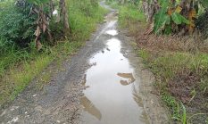 Puluhan Tahun Rusak, Jalan Sei Lasar di Palingkau Baru Tak Kunjung Diperbaiki
