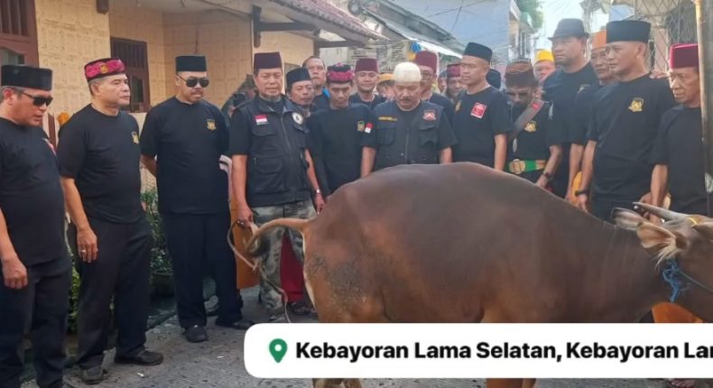 foto slider headline
