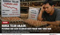 Harga Telur Anjlok, Peternak dan Agen Keluhkan Biaya Pakan yang Terus Naik