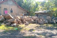 Kondisi lokasi penimbunan material batu di Dusun Bangun Rejo, Kampung Bukit Gemuruh, Way Tuba. Hingga berita ini diterbitkan, status perizinan kegiatan tersebut masih menunggu penjelasan dari pihak terkait. (Foto: Tikampost.id)