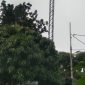 Menara BTS di Jalan Manyar, Kelurahan Serua, Kecamatan Ciputat, Kota Tangerang Selatan, yang diduga berada di kawasan Ruang Milik Jalur (Rumija) perkeretaapian. Warga akan melaporkan persoalan tersebut ke Ditjen Perkeretaapian setelah surat yang dikirim ke PT KAI Daop 1 Jakarta belum mendapat tanggapan. (Foto: Istimewa)