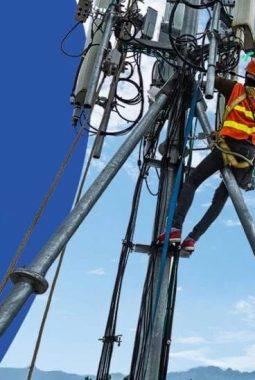 Pemasangan Tiang WiFi Star Conek di Ngambur Dipersoalkan, Warga Sebut Tak Ada Izin Pemilik Lahan