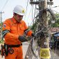 Petugas PT PLN (Persero) melakukan penertiban kabel jaringan internet yang terpasang pada tiang listrik di wilayah Way Kanan. PLN menegaskan bahwa pemanfaatan infrastruktur ketenagalistrikan untuk jaringan telekomunikasi harus melalui mekanisme dan izin resmi guna menjaga keselamatan serta keandalan pasokan listrik. Foto: Istimewa/Tikampost.id.