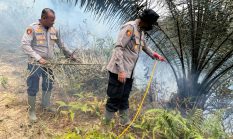Kapolres Dharmasraya Tinjau Lokasi Karhutla di Timpeh, Imbau Warga Tidak Membakar Lahan
