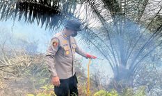 Kapolres Dharmasraya Turun Langsung Padamkan Karhutla di Timpeh