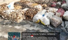 Warga Keluhkan Bau Menyengat dari Lapak Karet di Air Ringkih, Minta Pemerintah Turun Tangan