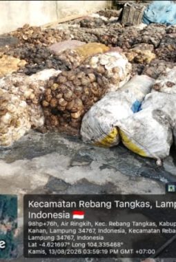 Warga Keluhkan Bau Menyengat dari Lapak Karet di Air Ringkih, Minta Pemerintah Turun Tangan