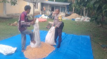 Bhabinkamtibmas Bantu Warga Tanam Jagung, Dukung Ketahanan Pangan di Padang Laweh